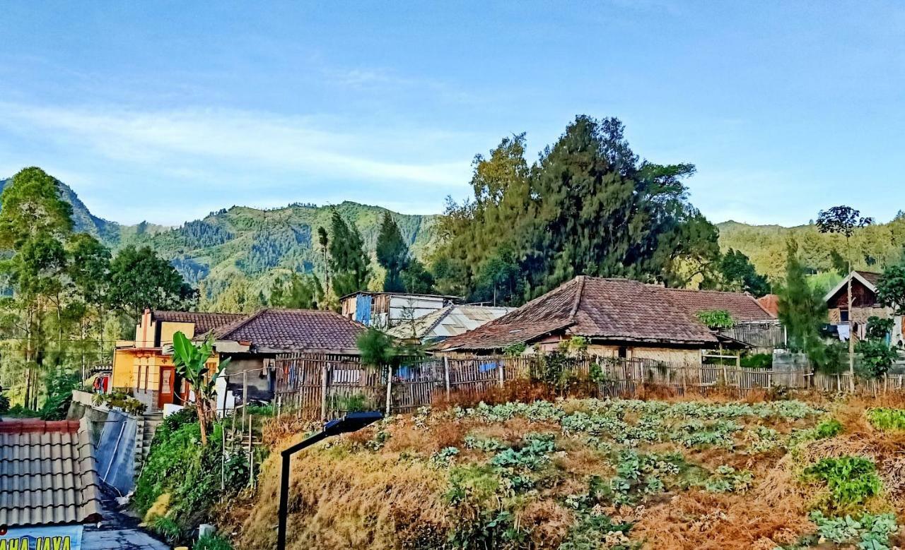 Homestay Anggun Bromo Dış mekan fotoğraf