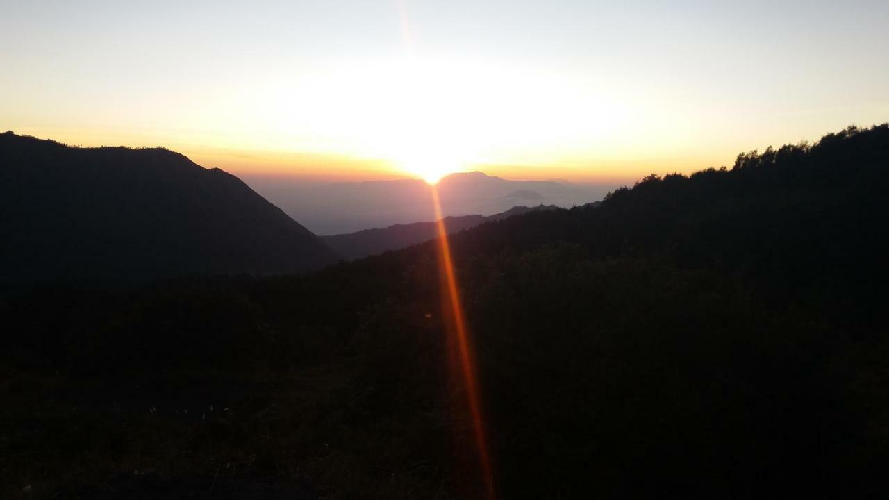 Homestay Anggun Bromo Dış mekan fotoğraf